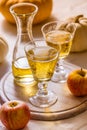 Apple cider with fresh apples and pumpkins for Thanksgiving Royalty Free Stock Photo