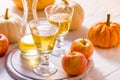 Apple cider with fresh apples and pumpkins for Thanksgiving Royalty Free Stock Photo