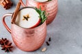 Apple Cider Moscow Mule cocktail with cinnamon stick and rosemary in copper