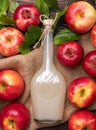 Apple cider vinegar in a bottle, organic fermented vinegar