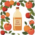Apple cider vinegar bottle surrounded by apples and leaves with white background Royalty Free Stock Photo