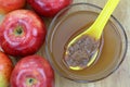 Apple cider vinegar with mother enzymes Royalty Free Stock Photo