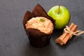 Apple cinnamon muffins on black stone background Royalty Free Stock Photo