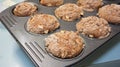 Apple And Cinnamon Muffins. Royalty Free Stock Photo