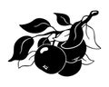 Apple clipart. Three fruits on branch with leaves. Hand drawn silhouette. Black graphic illustration. Botanic print, poster,