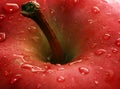 Apple close-up Royalty Free Stock Photo