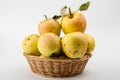 Apple closeup. sweet apples. apple season Royalty Free Stock Photo