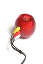 Apple connection Royalty Free Stock Photo