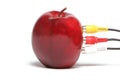 Apple connection Royalty Free Stock Photo