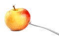 Apple with a connector Royalty Free Stock Photo