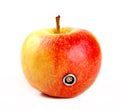 Apple with a connector Royalty Free Stock Photo