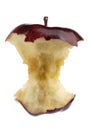 Apple Core. Royalty Free Stock Photo