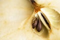 Apple core with seeds, close-up Royalty Free Stock Photo