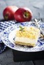 Apple and cottage cheese pie Royalty Free Stock Photo