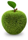 Apple covered with green grass