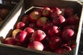 Apple Crate, Fresh Red Apples, Fruit, Food Royalty Free Stock Photo