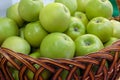 Apple crop in a basket