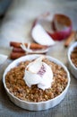 Apple Crumble Dessert With Cinnamon And Vanilla Ice Cream On Wooden Background Royalty Free Stock Photo