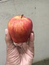 An apple a day keeps a doctor away