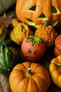 Apple disguised as a pumpkin between different pumpkins