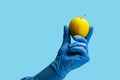 An apple in the doctor& x27;s hand. Background, selective focus. Isolated blue medical backdrop