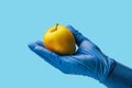 An apple in the doctor& x27;s hand. Background, selective focus. Isolated blue medical backdrop