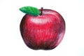 Apple, drawing fruit, red apple, realistic drawing apple Royalty Free Stock Photo