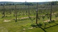 Apple farm in Canada Royalty Free Stock Photo