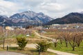 Apple farm with central alps mountain, Yamanouchi Royalty Free Stock Photo