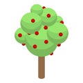 Apple farm tree icon, isometric style