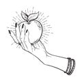 Apple in female hand isolated hand drawn line art and dot work vector illustration. Boho sticker, print or blackwork flash tattoo
