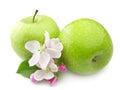 Apple with flower Royalty Free Stock Photo