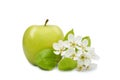 Apple with flower closeup Royalty Free Stock Photo
