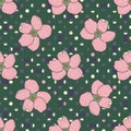 Apple flowers on Polka Dot geometric background. Royalty Free Stock Photo