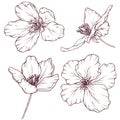 Apple flowers vintage style sketch collection