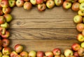 Apple frame Royalty Free Stock Photo
