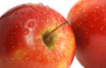Apple and fresh drops Royalty Free Stock Photo