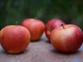 Red apples Royalty Free Stock Photo