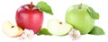 Apple fruit apples fruits red and green slice sliced blossom iso