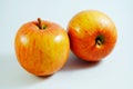 Apple fruit, Artificial fruit - It is counterfeit fruit 6