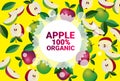 Apple fruit colorful circle copy space organic over fresh fruits pattern background healthy lifestyle or diet concept Royalty Free Stock Photo
