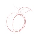 Apple fruit in continious line vector illustration art drawing style
