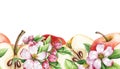 Apple fruit and flower seamless border. Watercolor floral illustration. Red apple, half cutted and spring tender pink Royalty Free Stock Photo