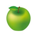 Whole green apple fruit icon vector illustration Royalty Free Stock Photo