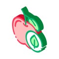 Apple Fruit Leaf isometric icon vector illustration Royalty Free Stock Photo