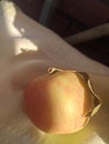 Apple fruit with leaf placed on a yellow cloth napkin