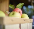 apple close-up outdoor harvest box bokeh background