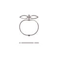 Apple fruit thin line icon. Mbe minimalism style