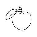 Apple fruit vector illustration. Engraved organic food hand drawn sketch engraving illustration. Black white apple Royalty Free Stock Photo