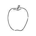 Apple fruit vector illustration. Engraved organic food hand drawn sketch engraving illustration. Black white apple Royalty Free Stock Photo